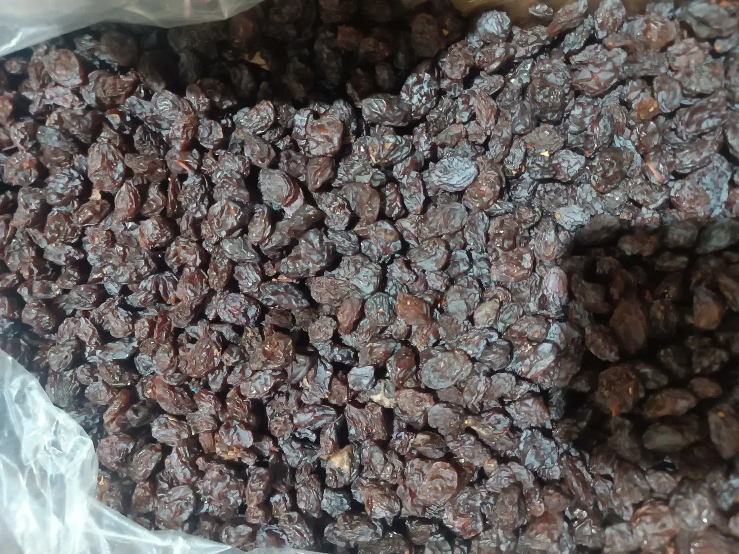 مویز سیاه|خوردنی و آشامیدنی|قم, انسجام|دیوار