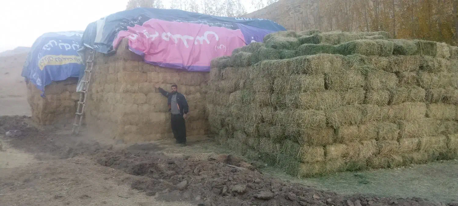 یونجه درجه یک خالص|خدمات باغبانی و درختکاری|قیدار, |دیوار