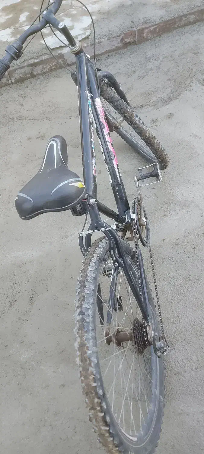 دوچرخه ۲۶|دوچرخه، اسکیت، اسکوتر|چهارباغ, |دیوار