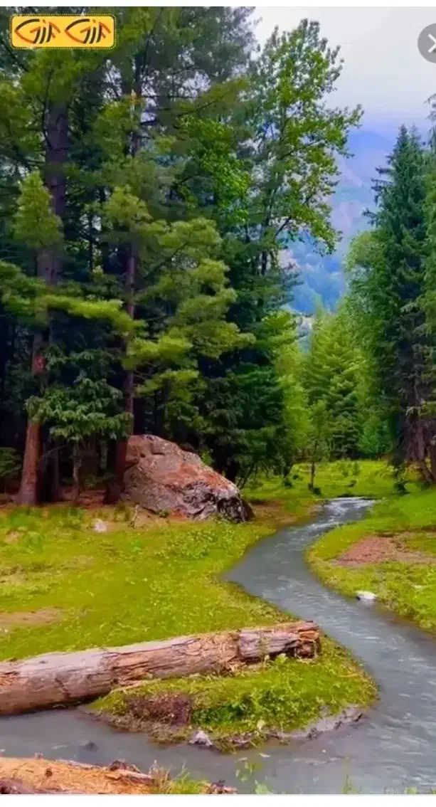 وام|فعالیت داوطلبانه تحقیقاتی|کرج, اصفهانی‌ها|دیوار