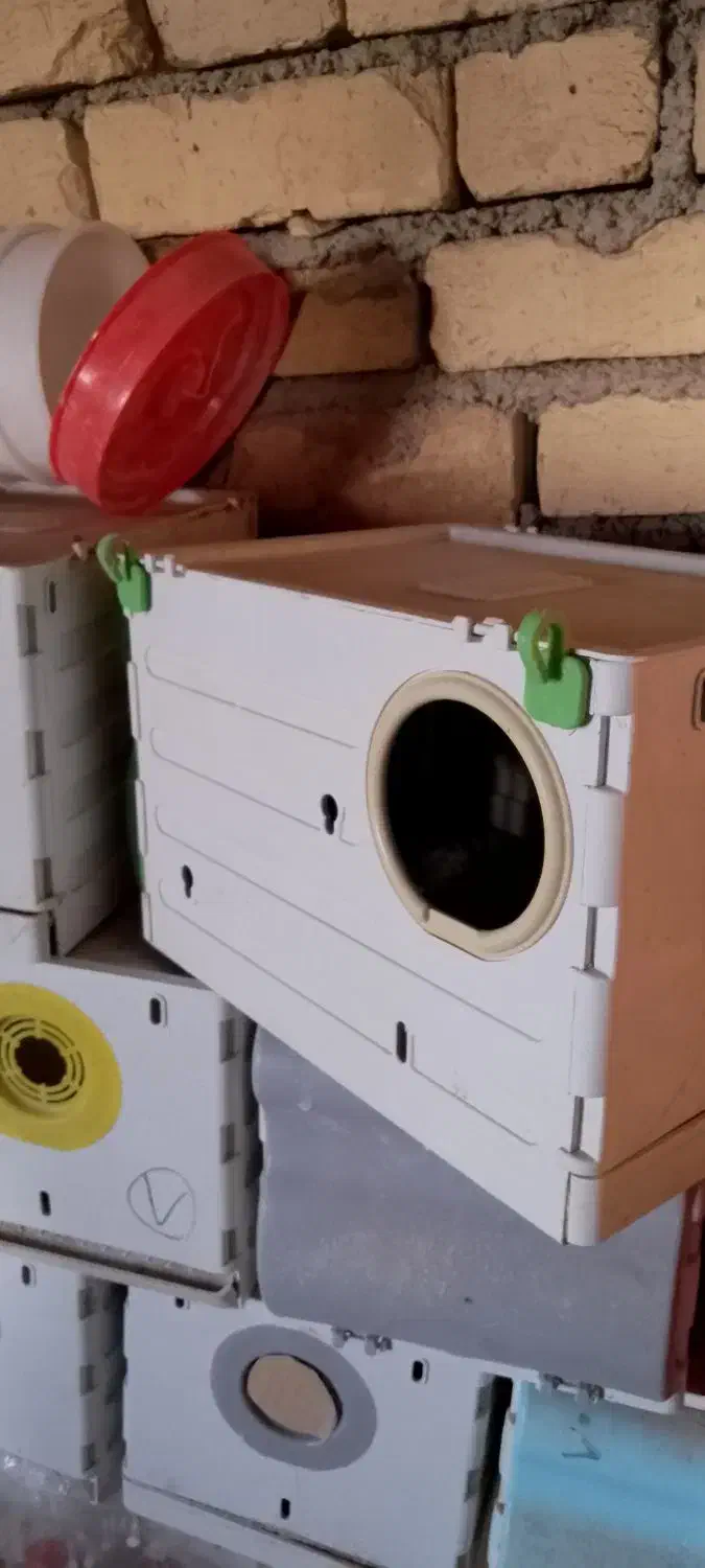 لانه عروس هلندی|لوازم جانبی حیوانات|بوئین و میاندشت, |دیوار