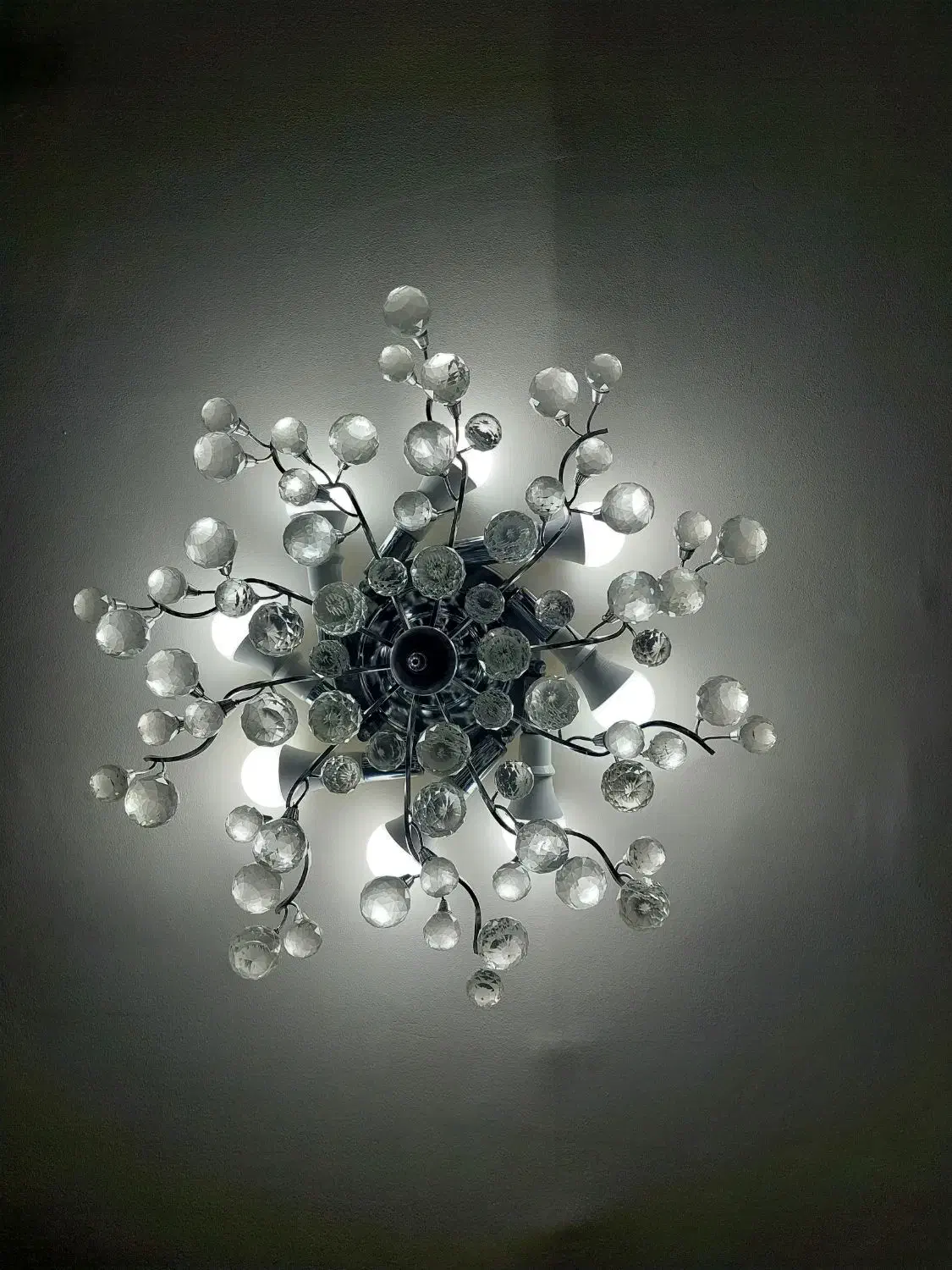 لوستر|لوستر و چراغ آویز|شیراز, دکتر حسابی|دیوار