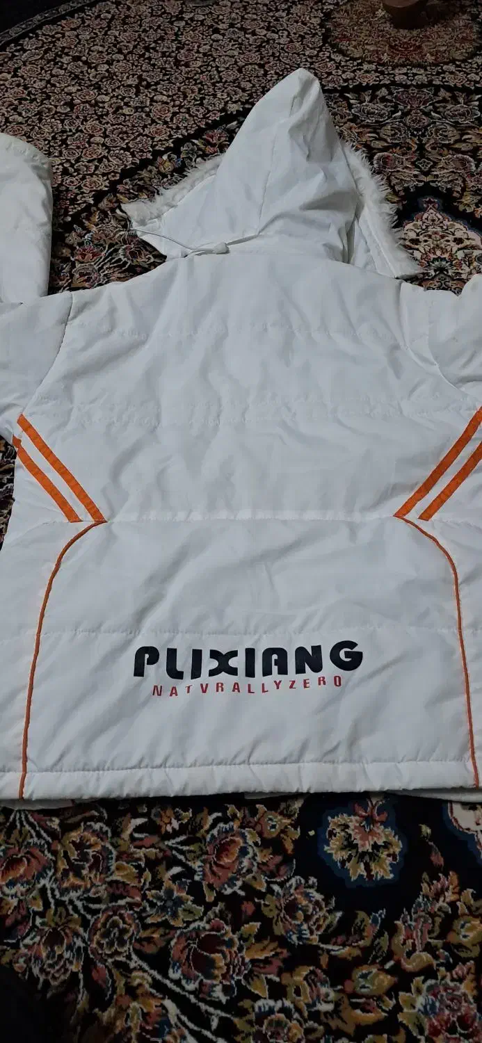 کاپشنxl|لباس|شاهینشهر, فردوسی|دیوار