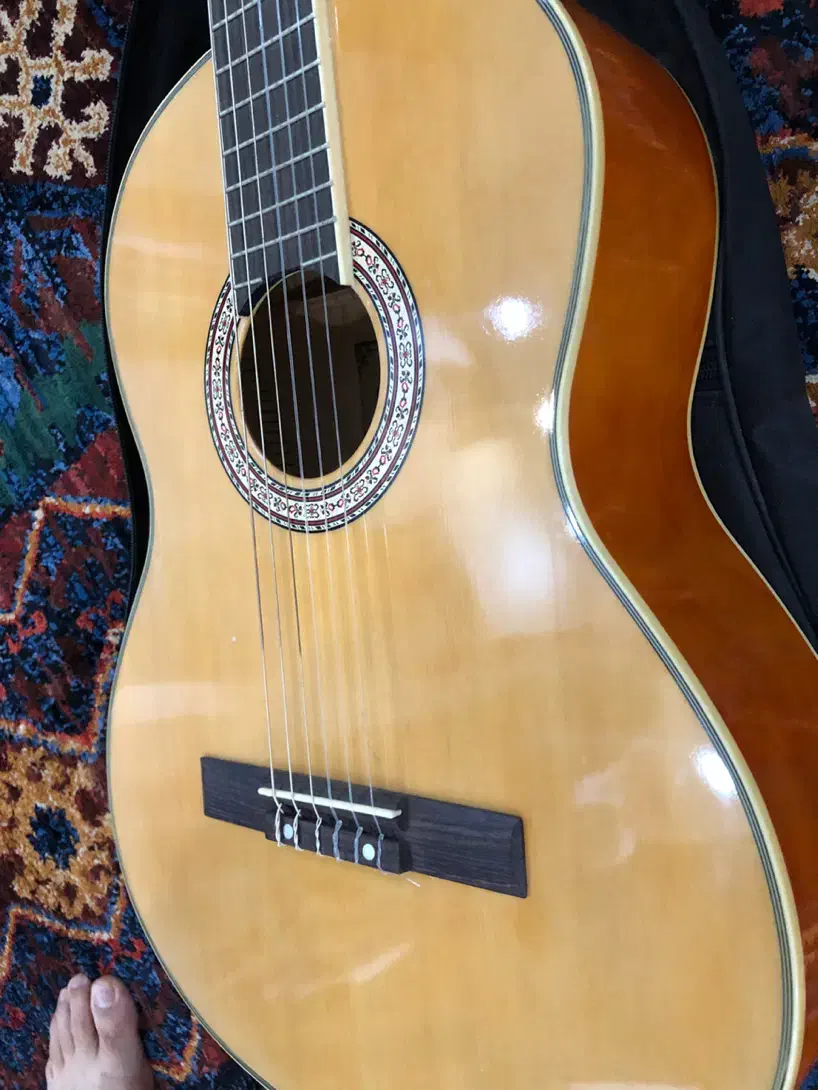 گیتار کلاریس ccg100nt نو|گیتار، بیس، امپلیفایر|مشهد, آزادشهر|دیوار