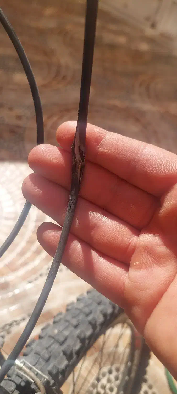 دوچرخه ویوا|دوچرخه، اسکیت، اسکوتر|بندر ماهشهر, |دیوار