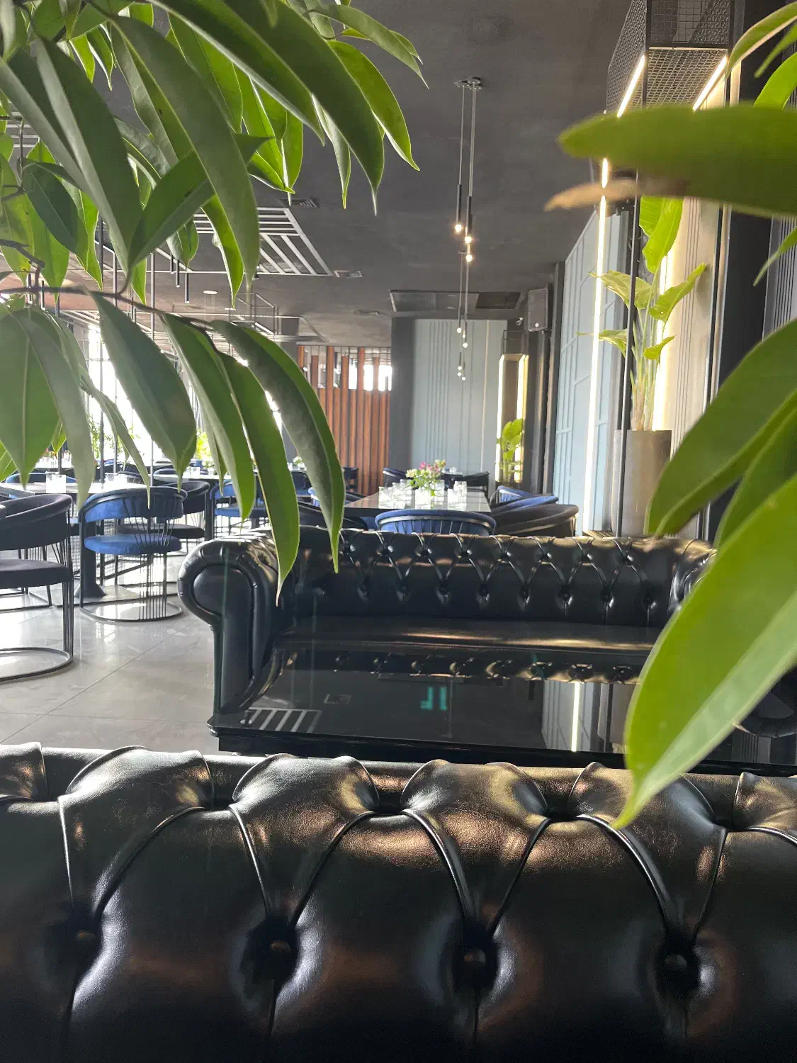 ظرفشور|استخدام خدمات فروشگاه و رستوران|مشهد, ویلاشهر|دیوار