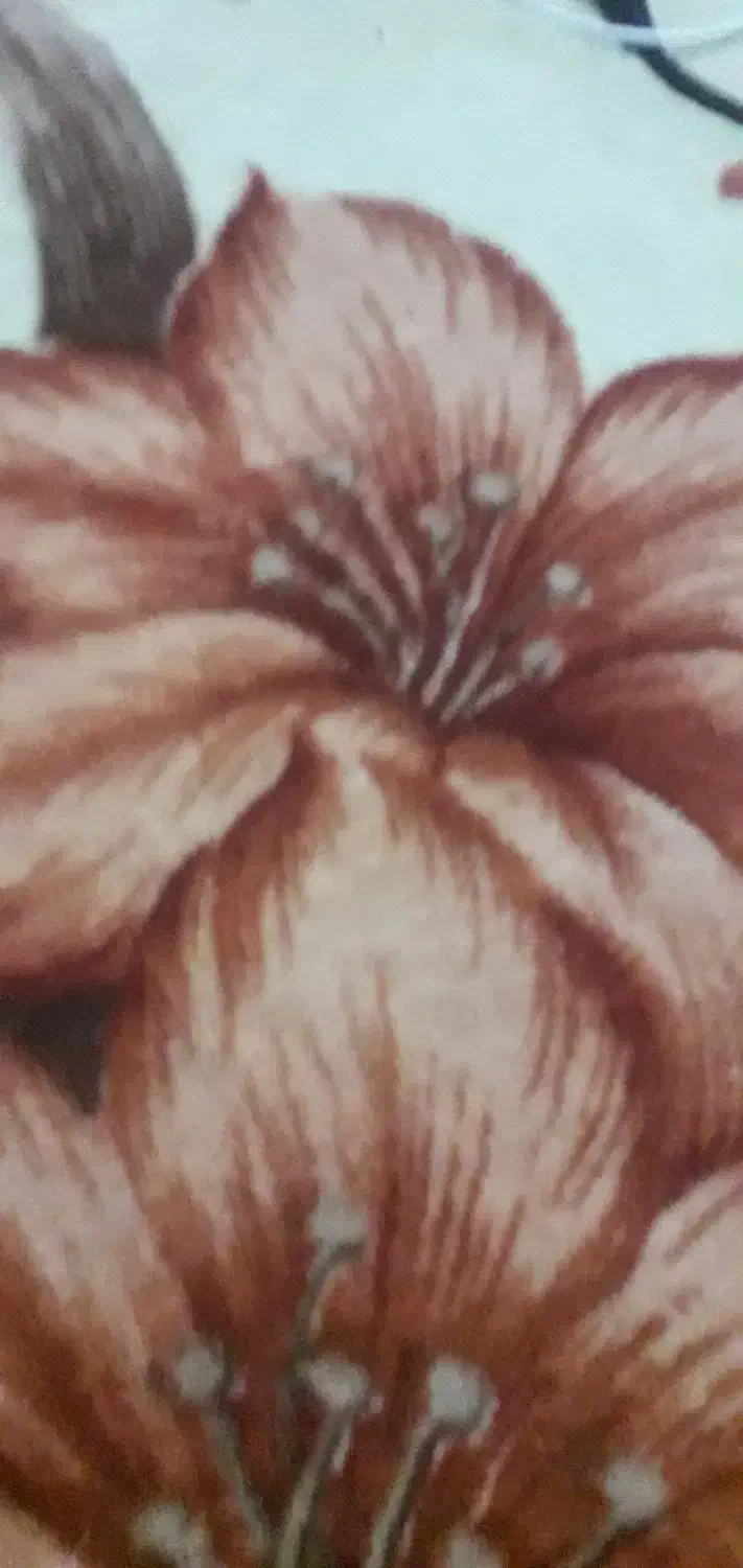 عکس ندارم کلید سیوچ دسته کلید ماشین گمشده|اشیا|شیراز, شهرک گلها|دیوار