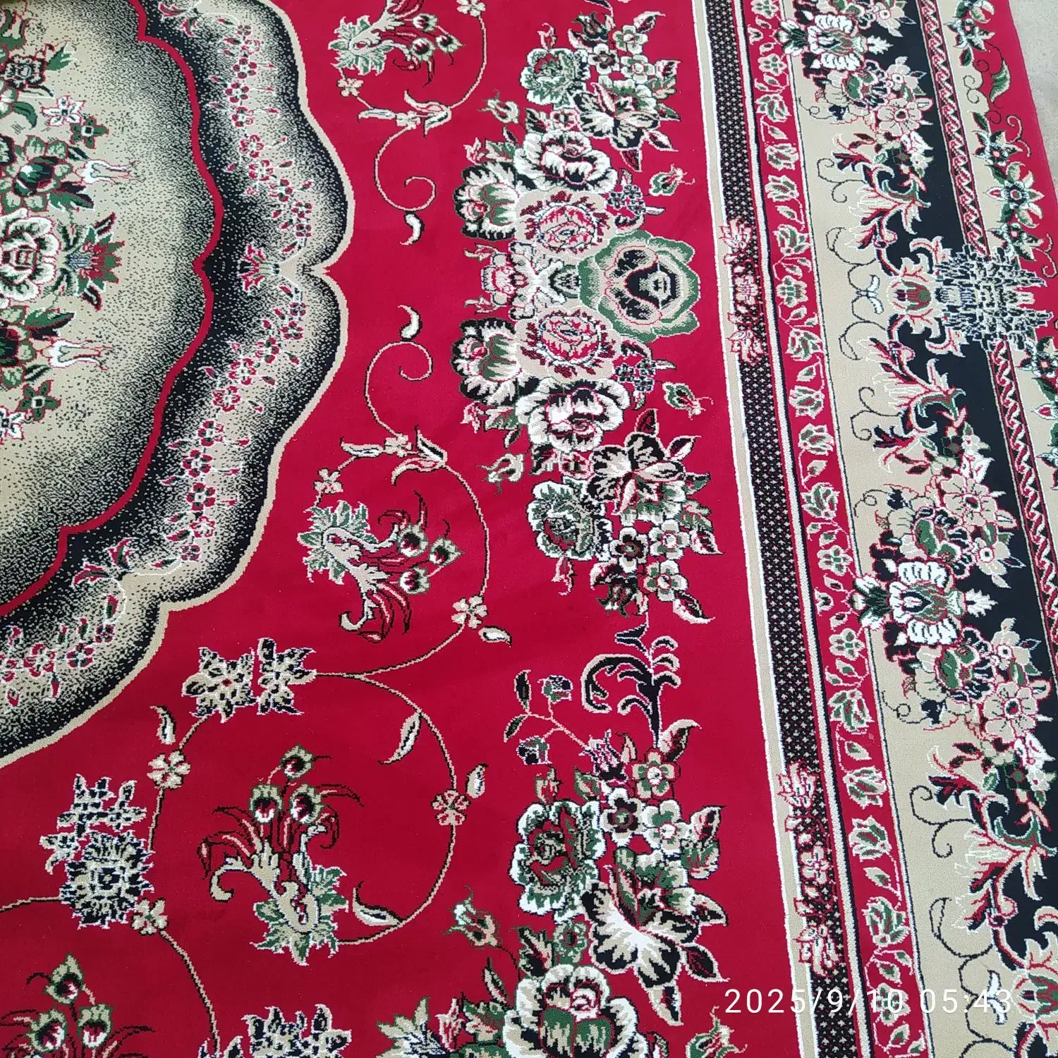 قالی 12متری|فرش|مرودشت, ژیان|دیوار