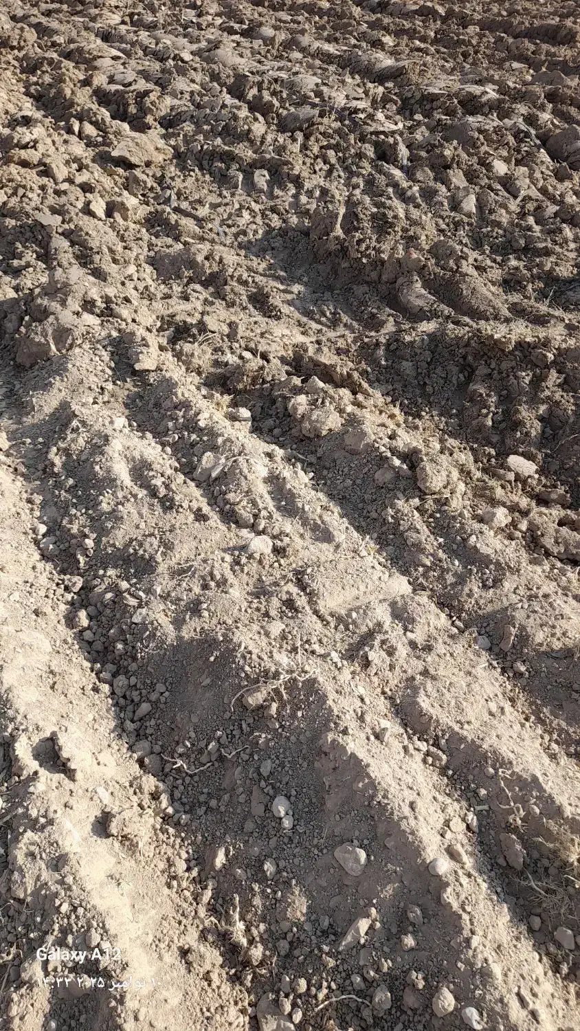 فروش زمین کشاورزی، روستای مالیچه ابرج|فروش دفتر صنعتی، کشاورزی، تجاری|درودزن, |دیوار