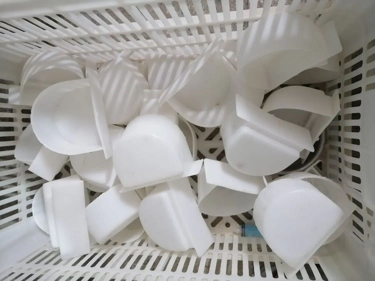 کاسکویی ظرف|لوازم جانبی حیوانات|شیراز, کاراندیش|دیوار