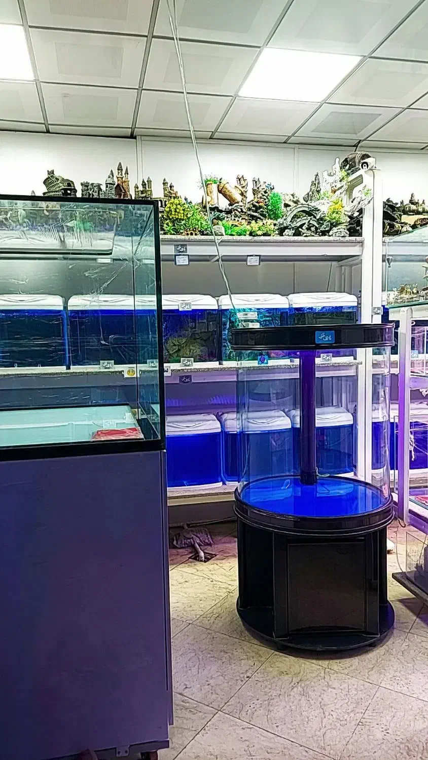 اکواریوم استوانه ابشور از قم|ماهی|ری, بازار آهن|دیوار