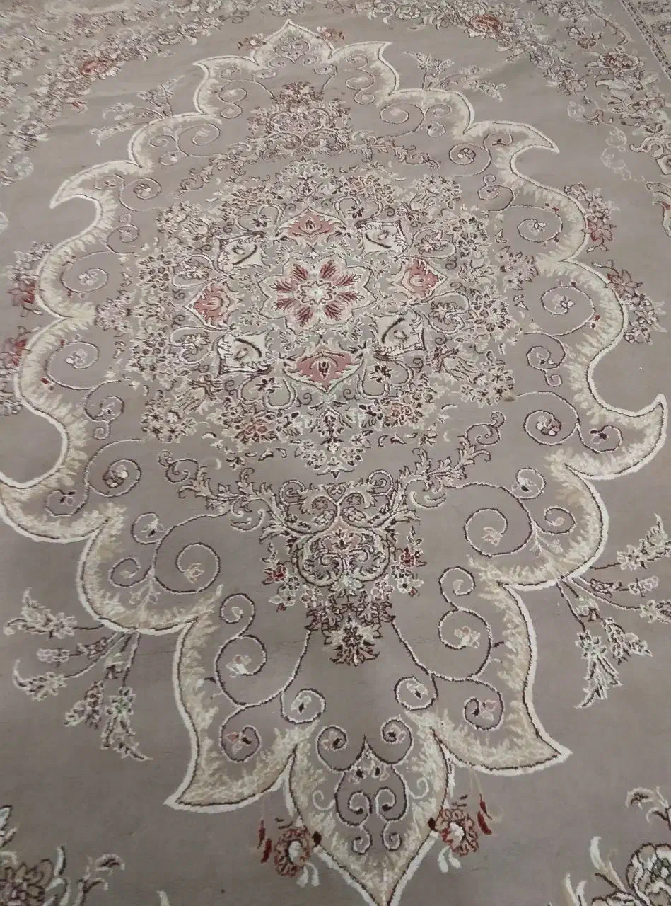 فروش فوری فرش ۱۲متری|فرش|پیر بکران, |دیوار