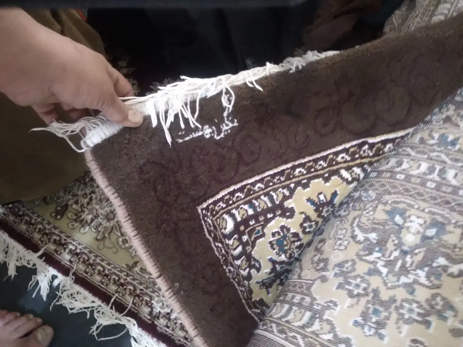 فرش ۲۱متری|فرش|اشتهارد, |دیوار