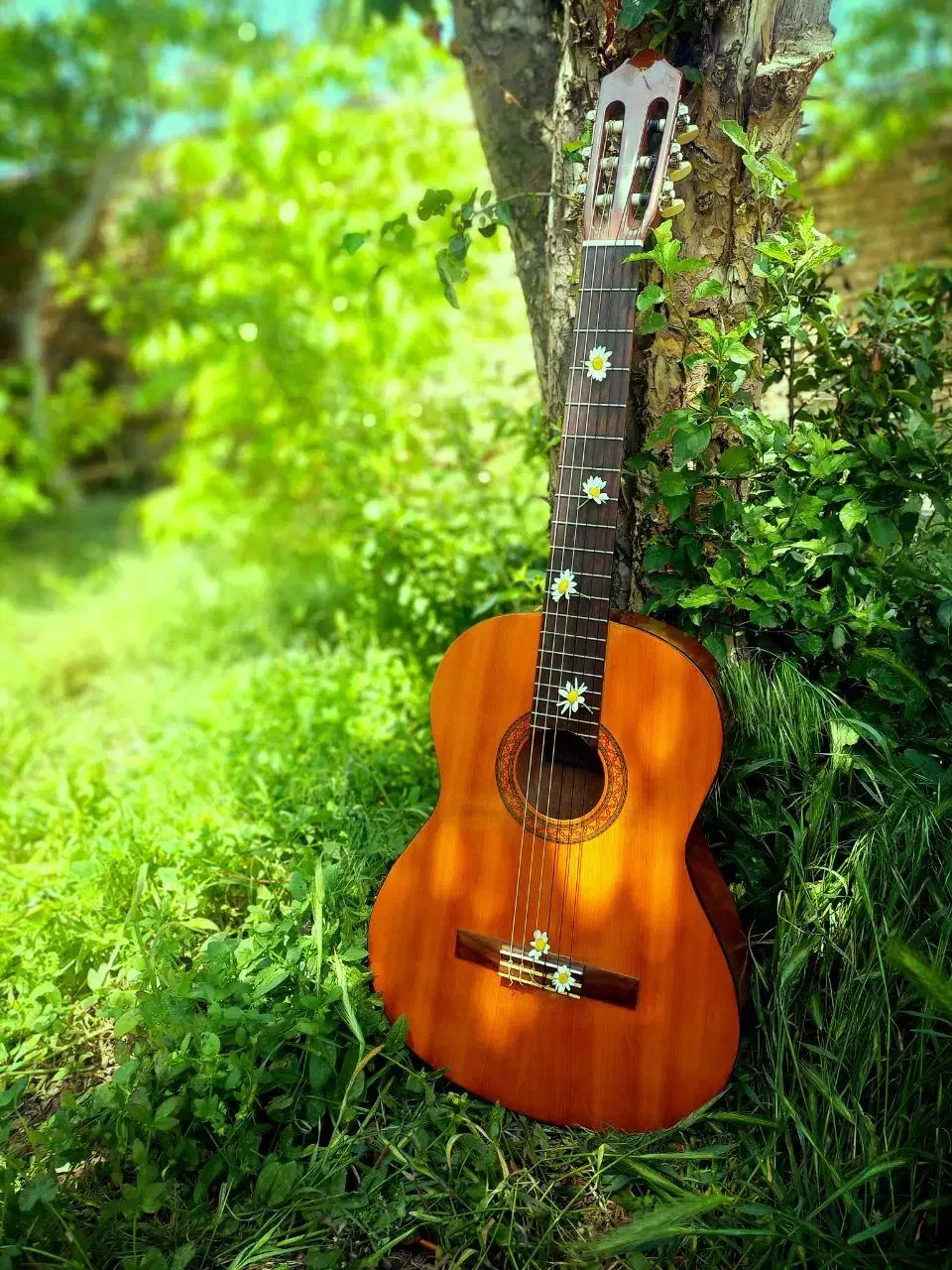 یاماها c40|گیتار، بیس، امپلیفایر|قزوین, |دیوار