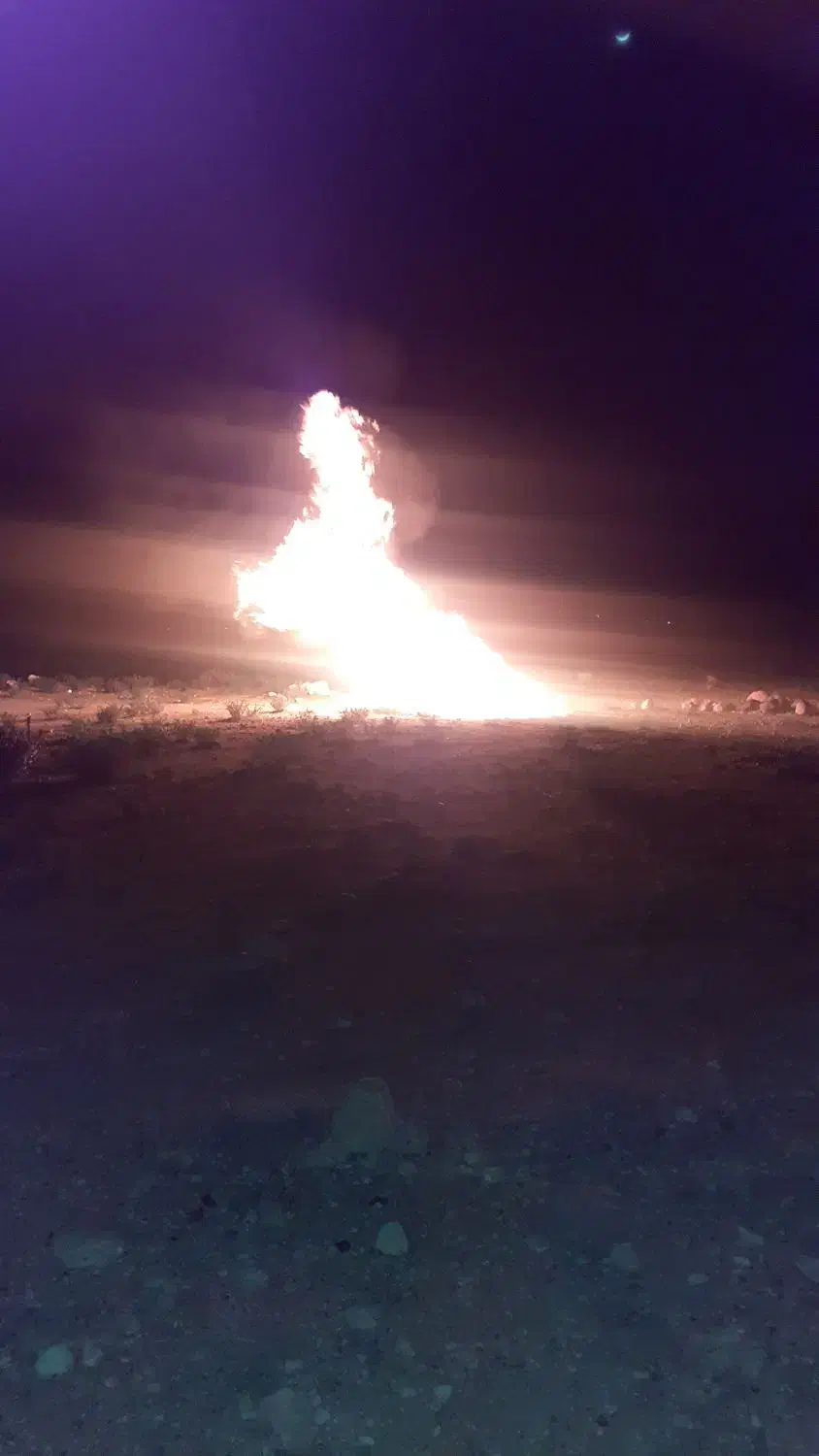 دلم گرفته|فعالیت داوطلبانه|فسا, |دیوار