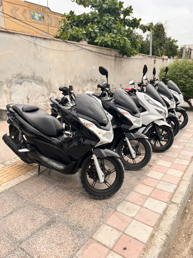 Pcx|موتورسیکلت|بندر دیر, |دیوار