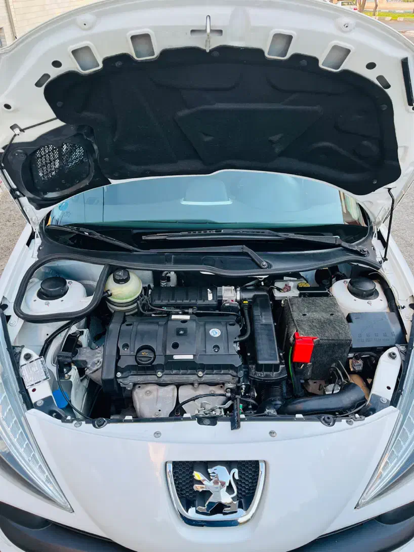 ۲۰۷ پانوراما دنده بیرنگ ۱۴۰۱|خودرو سواری و وانت|زنجان, |دیوار