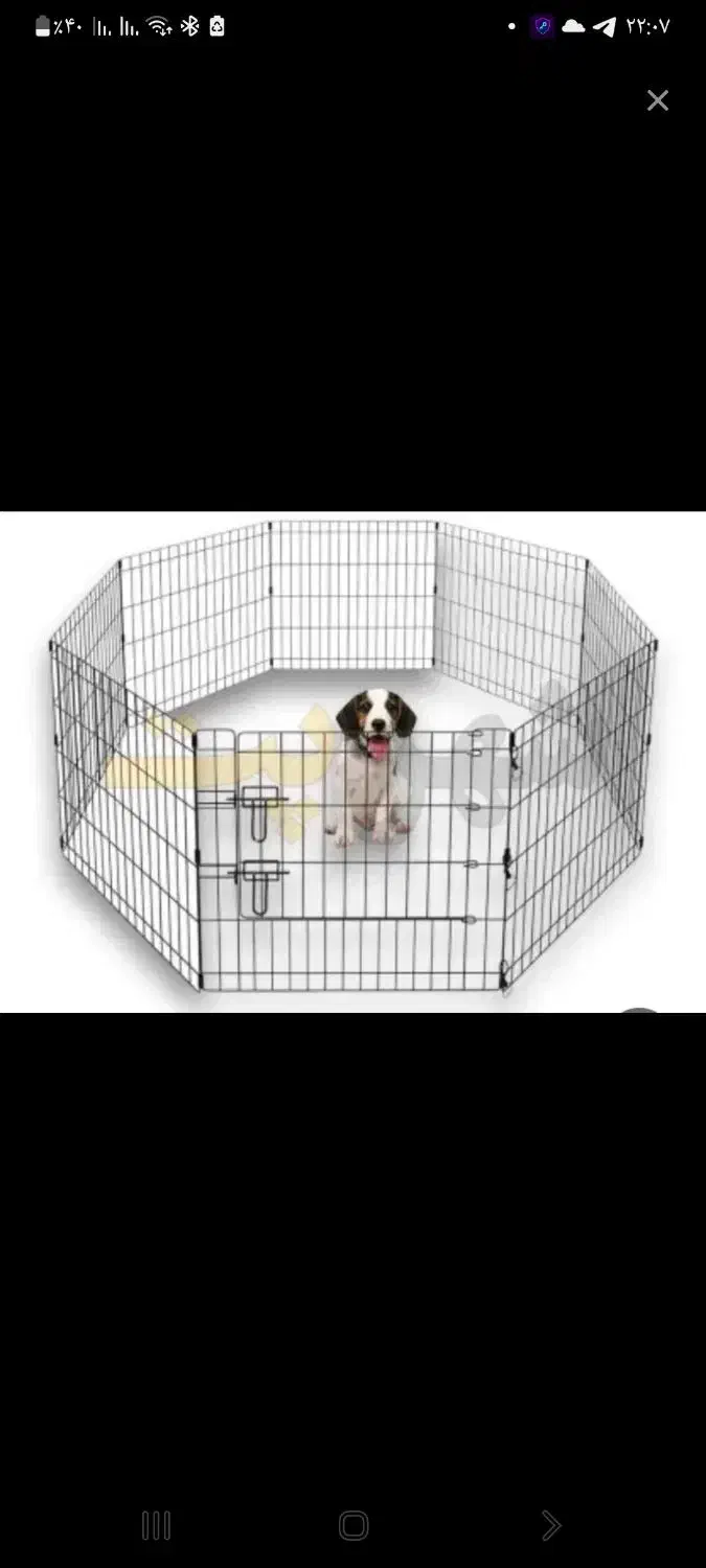 پارک پت نو|لوازم جانبی حیوانات|اسلام‌شهر, شهرک لاله|دیوار