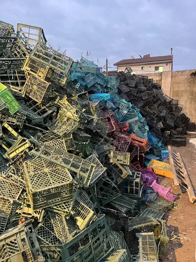 خرید سبد میوه تسویه سر باسکول|خدمات پیشه و مهارت|رشت, ترمینال|دیوار