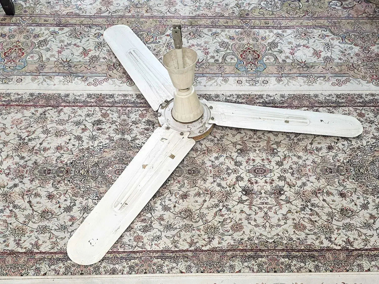 پنکه سقفی|پنکه و تصفیهکنندهٔ هوا|بابلسر, |دیوار