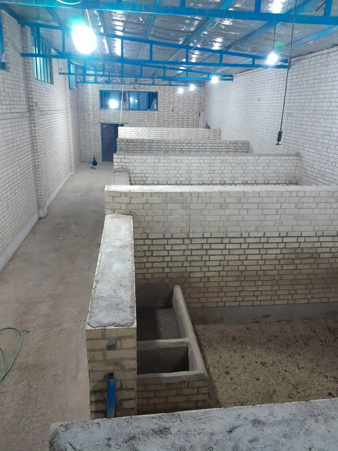 باشگاه سوارکاری چرخاب اشکذر|اجارهٔ مغازه و غرفه|اشکذر, |دیوار