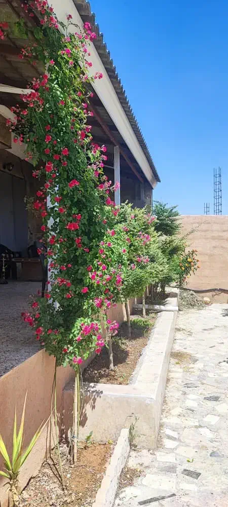 فروش زمین ۱۸۰ متری شهرک کوثر۱|فروش زمین و ملک کلنگی|شیراز, دشت چنار|دیوار