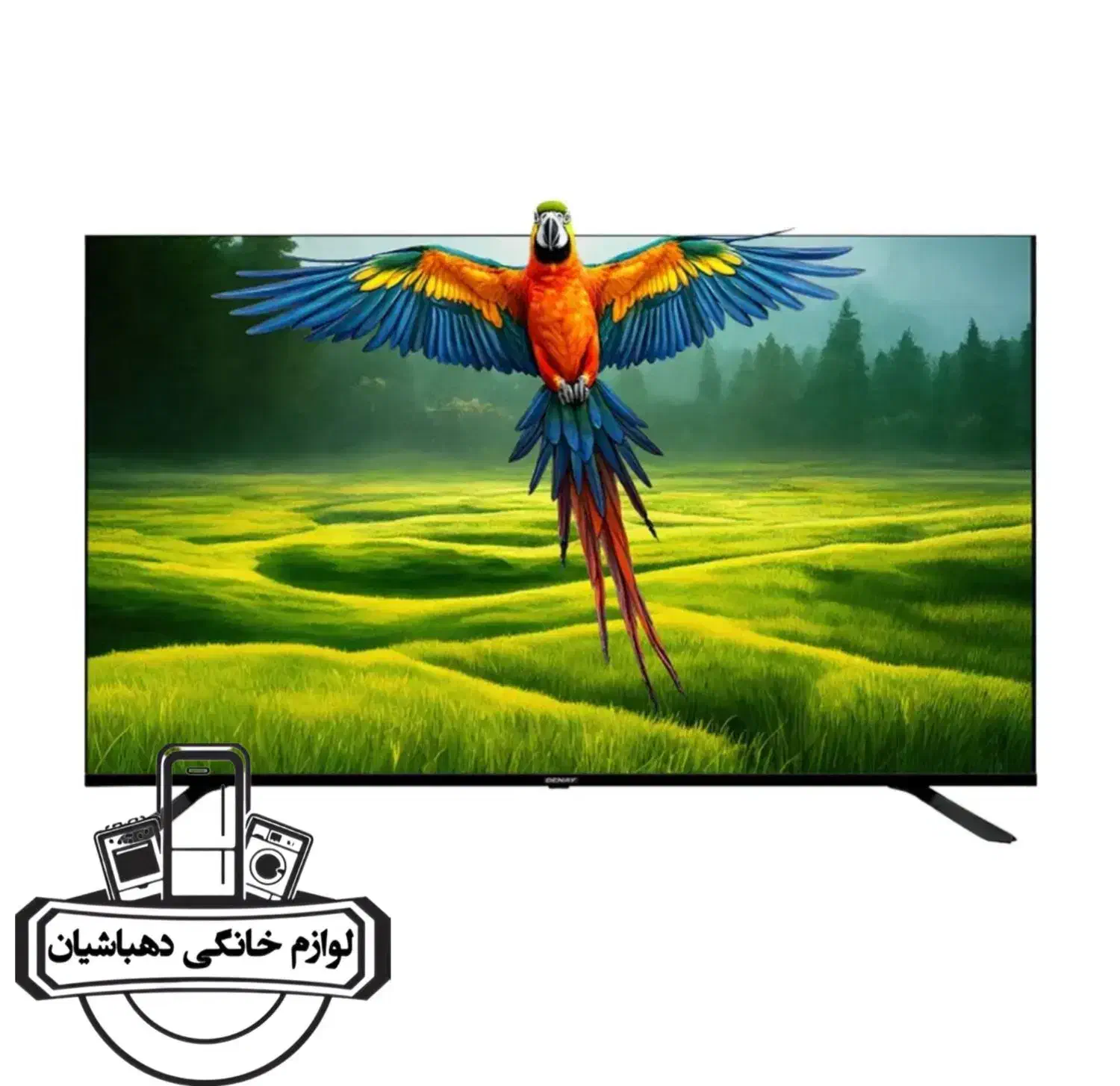 تلویزیون ۶۵ اینچ دنای کیولد اقساطی|تلویزیون و پروژکتور|نیشابور, فردوس شمالی|دیوار