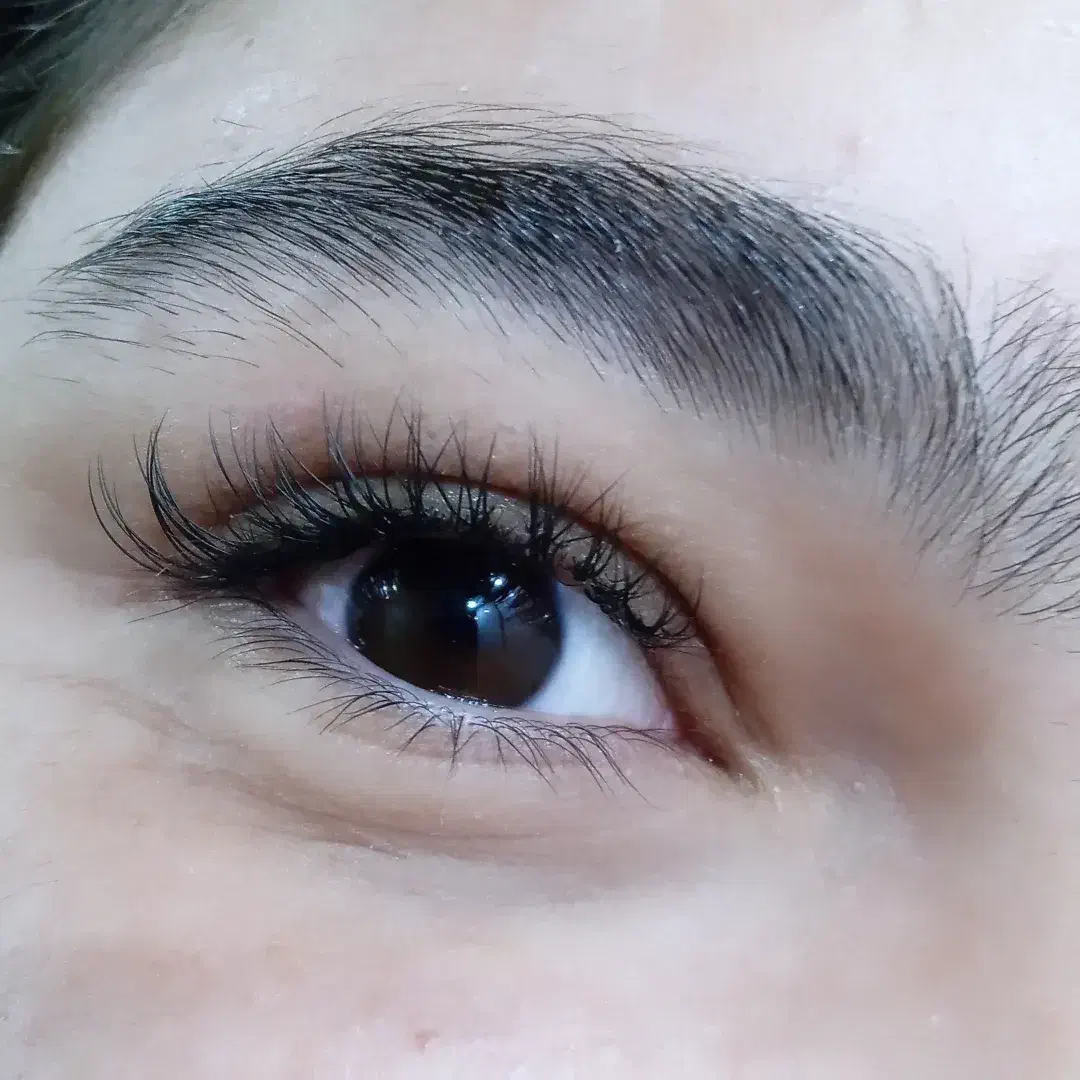 خدمات کاشت و اکستنشن|خدمات آموزشی|نورآباد ممسنی, |دیوار