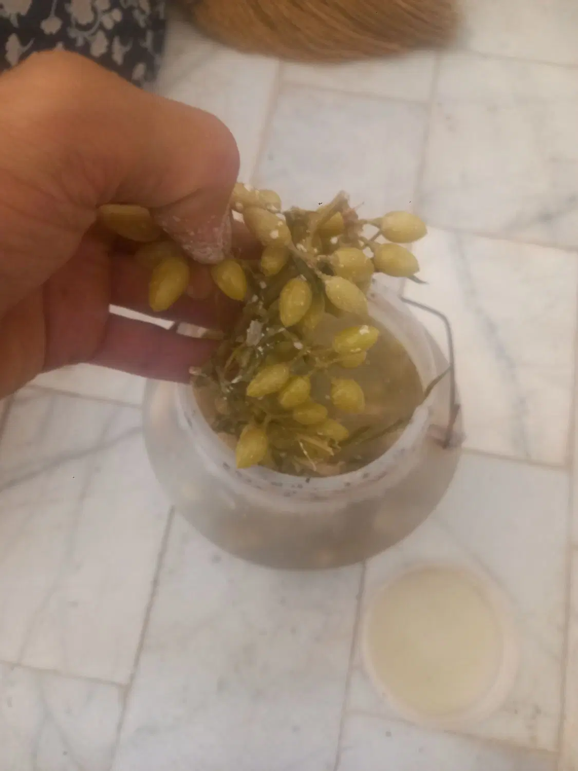ترشی|خوردنی و آشامیدنی|نیشابور, تریا پارک|دیوار