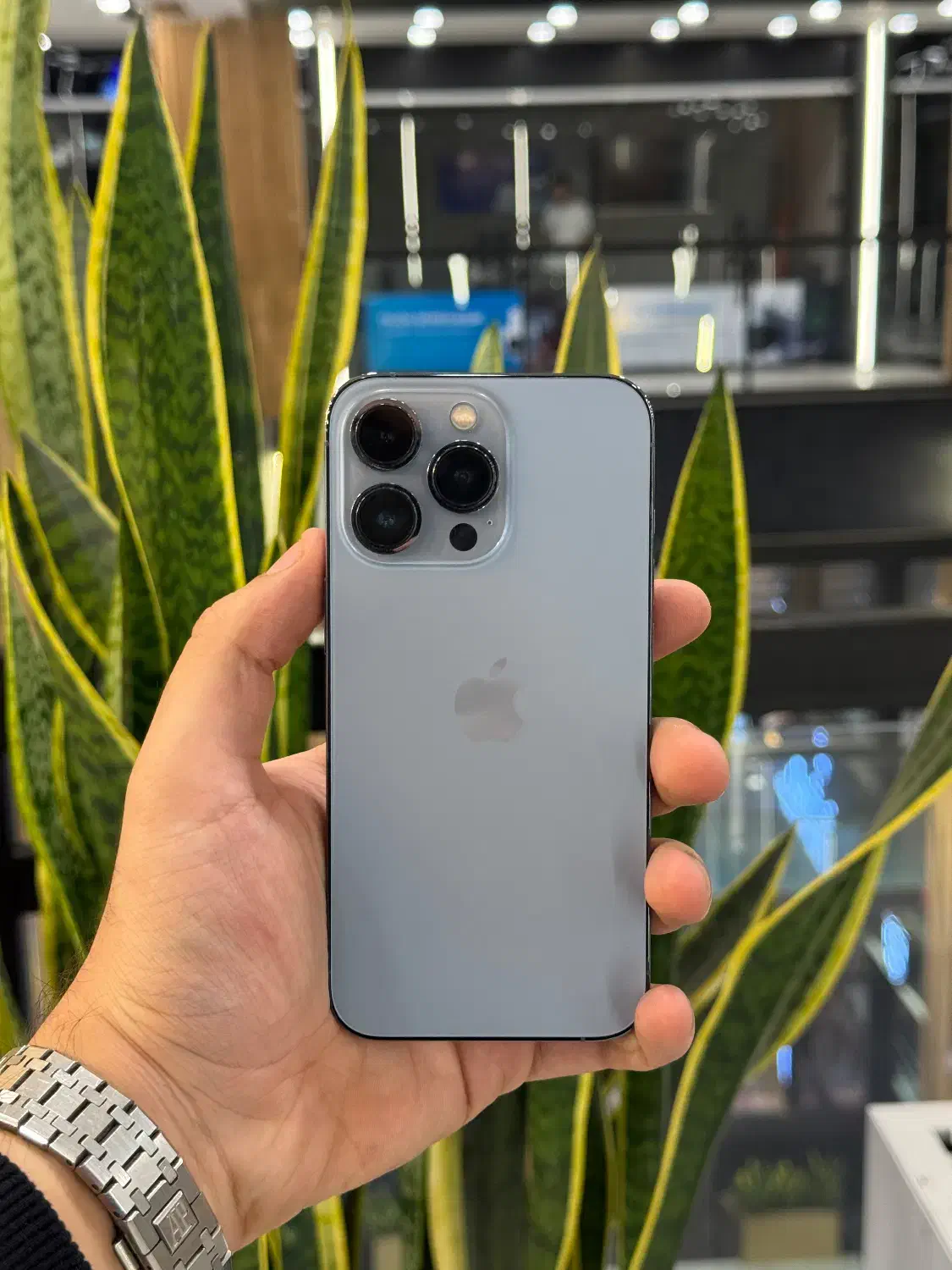 آیفون ۱۳پرو|موبایل|رشت, چله خانه|دیوار