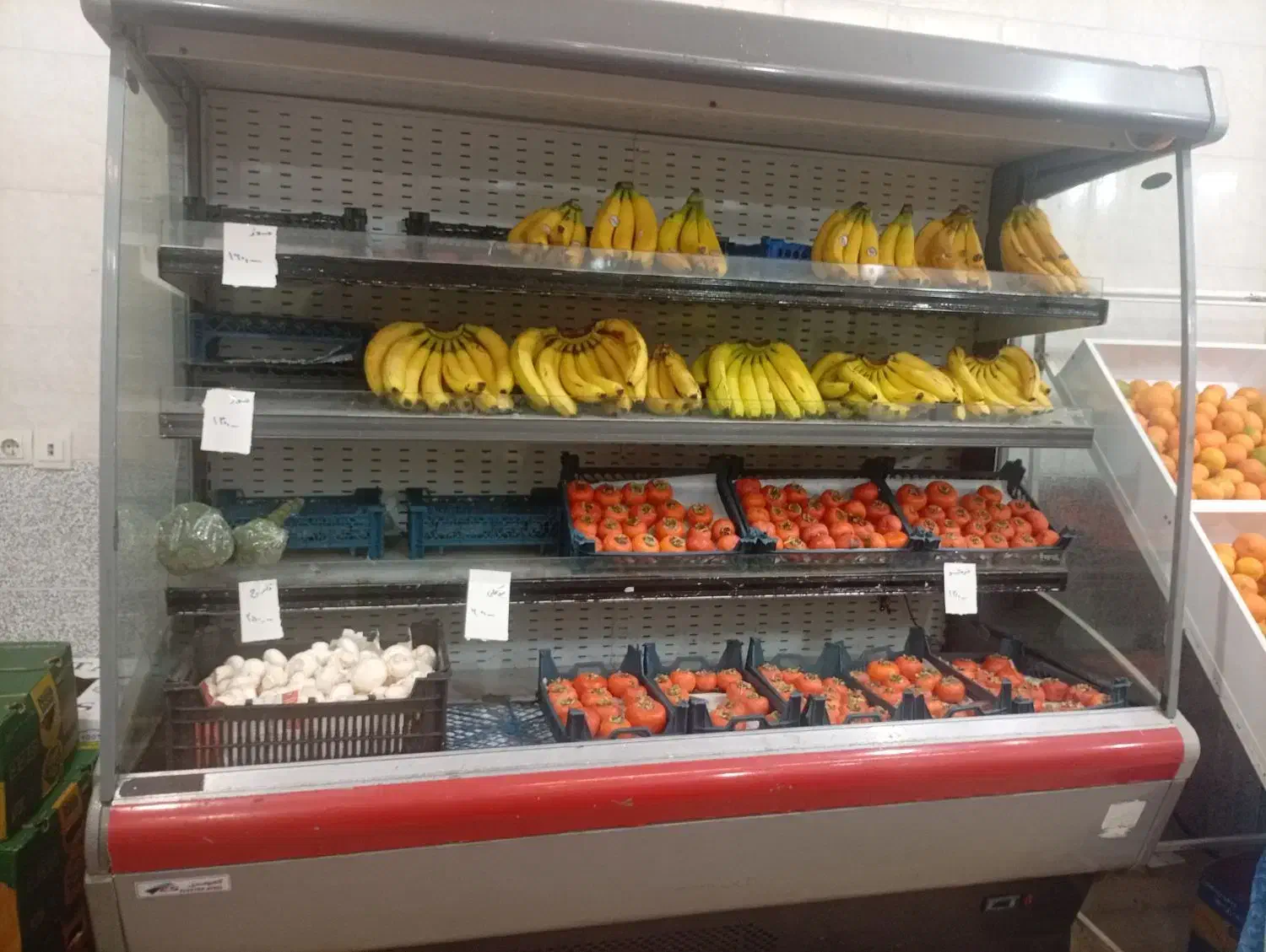 یخچال ویترینی|فروشگاه و مغازه|اردبیل, |دیوار