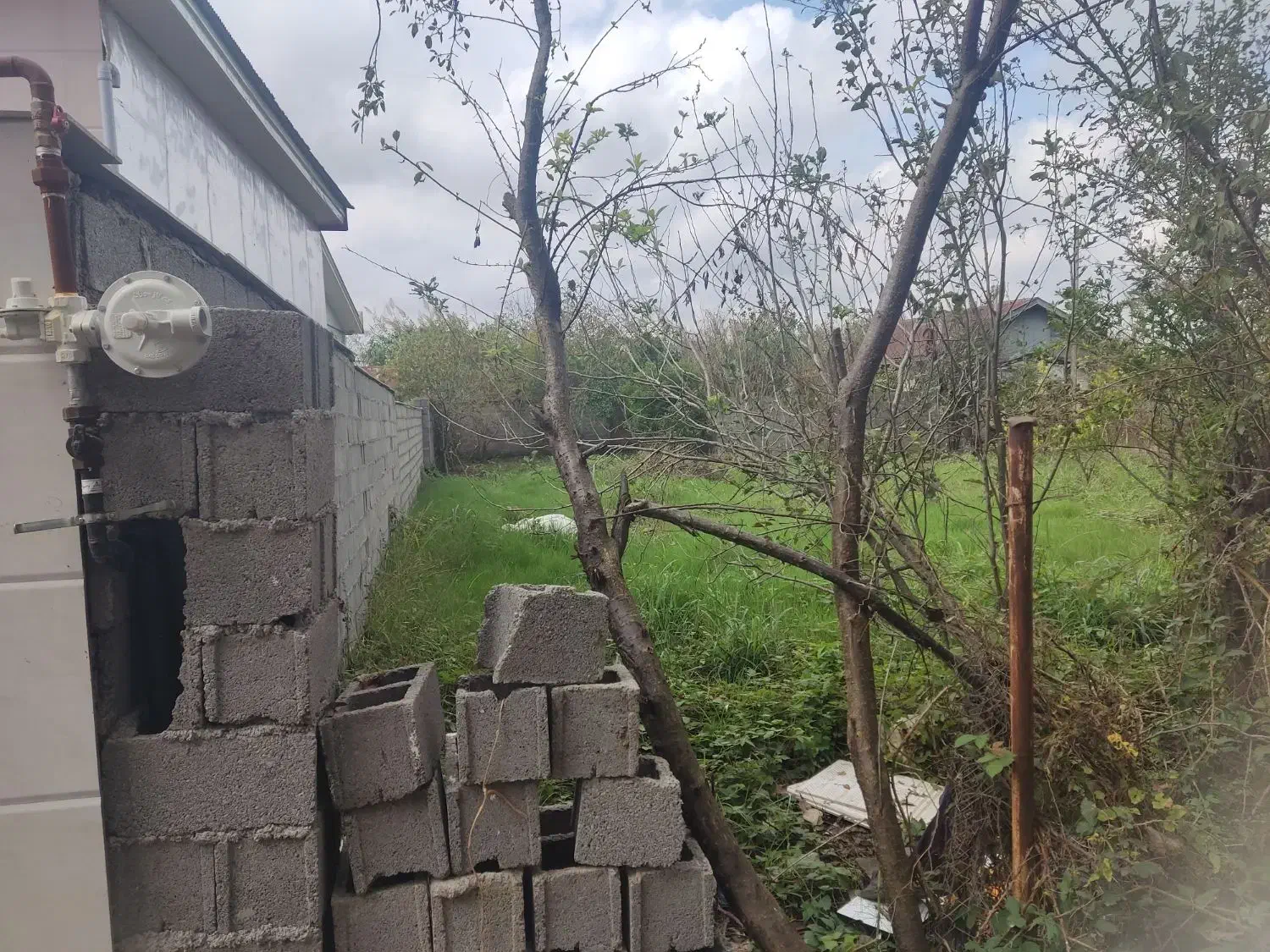 فروش ۵۰۰متر زمین مسکونی ساحلی زیر قیمت منطقه|فروش زمین و ملک کلنگی|خشکبیجار, |دیوار