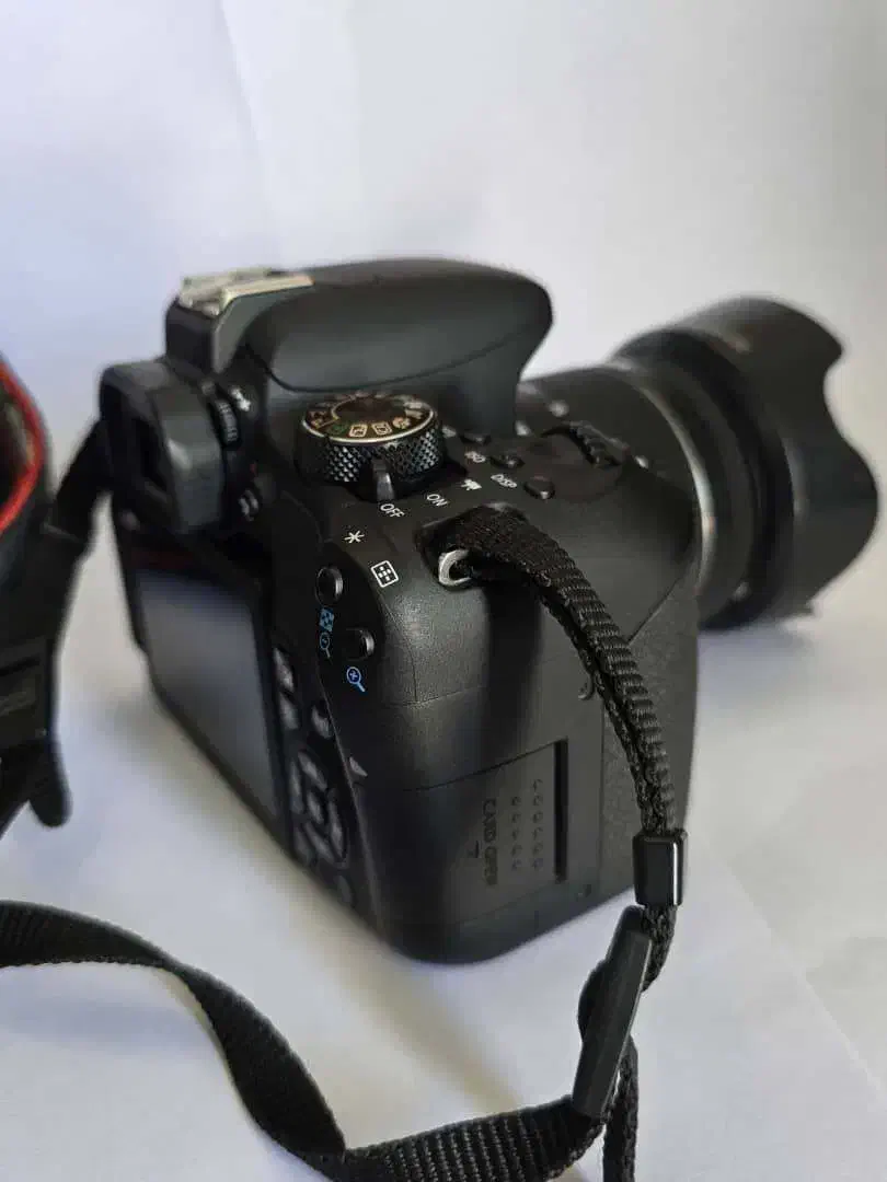 دوربین Canon EOS 800D|دوربین عکاسی و فیلم‌برداری|لامرد, |دیوار