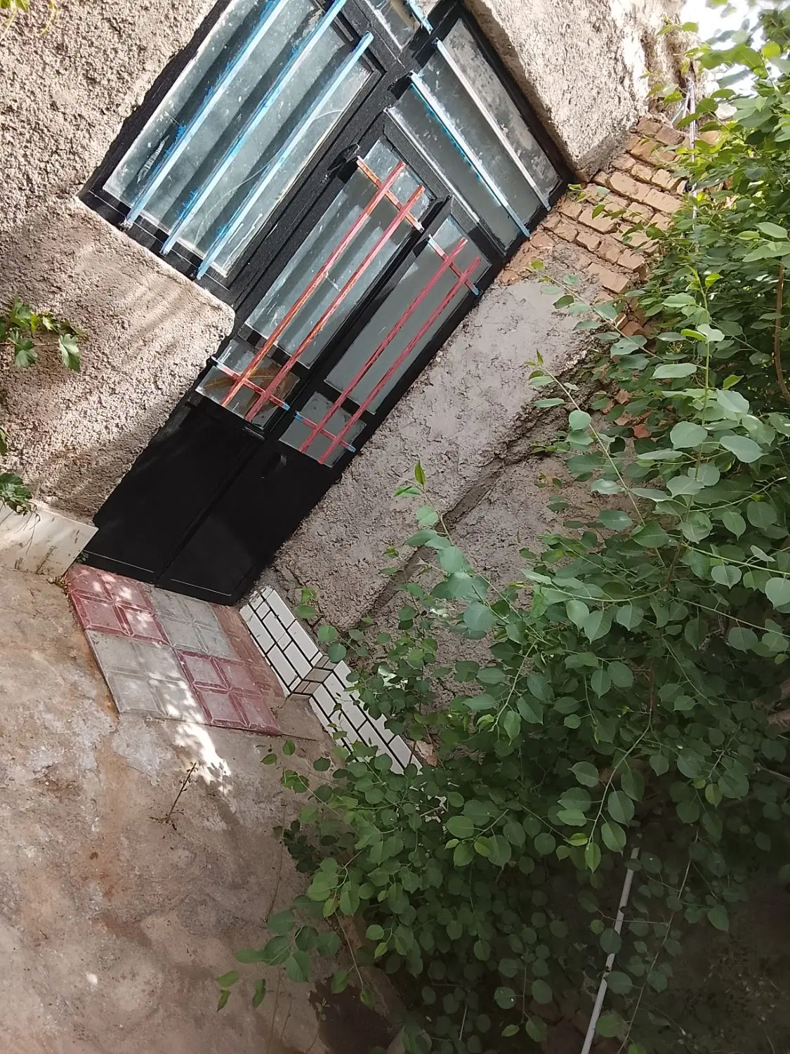 تصویر 5