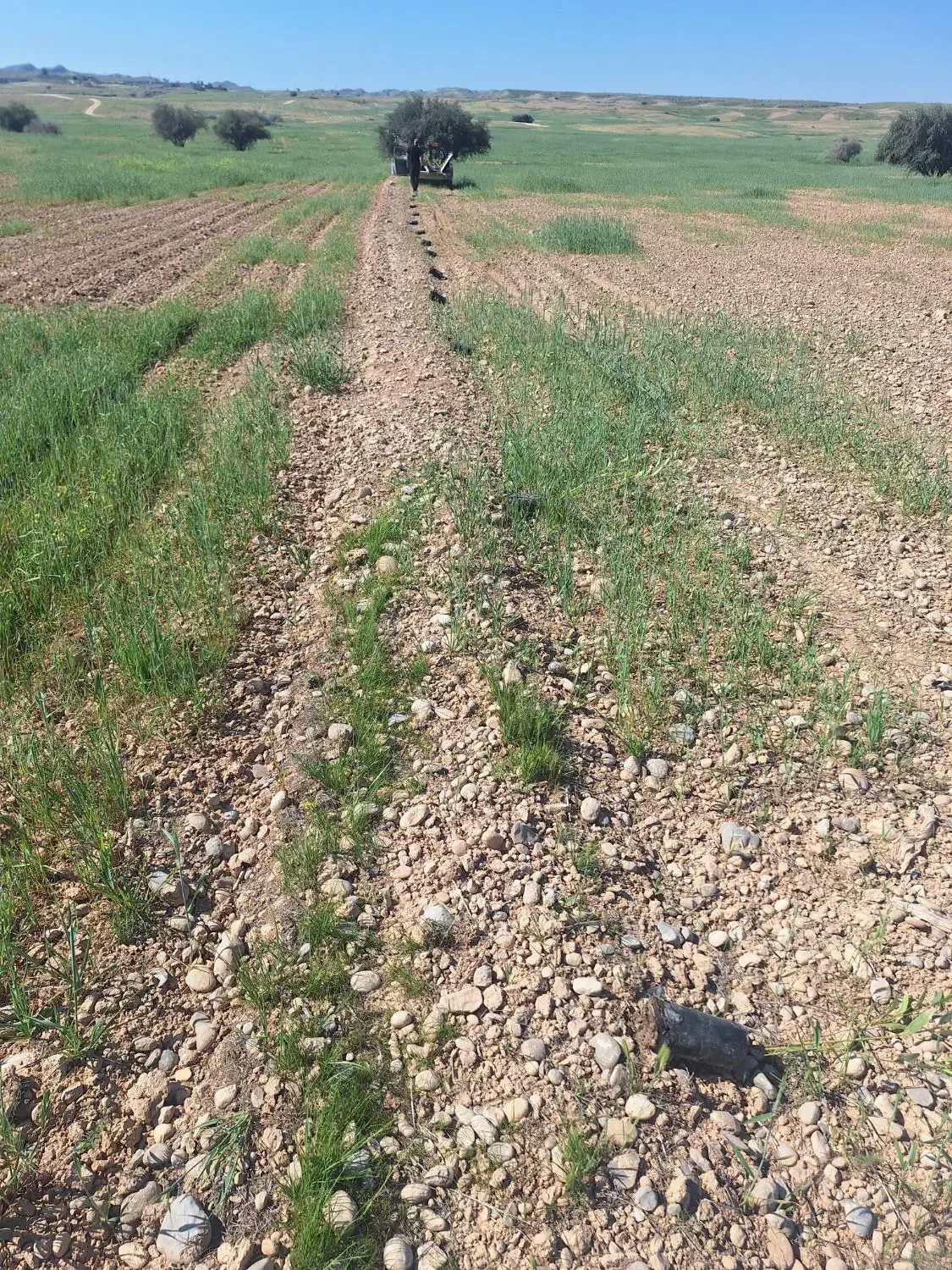 نیازمند چوپان|استخدام سرایداری و نظافت|بهبهان, |دیوار