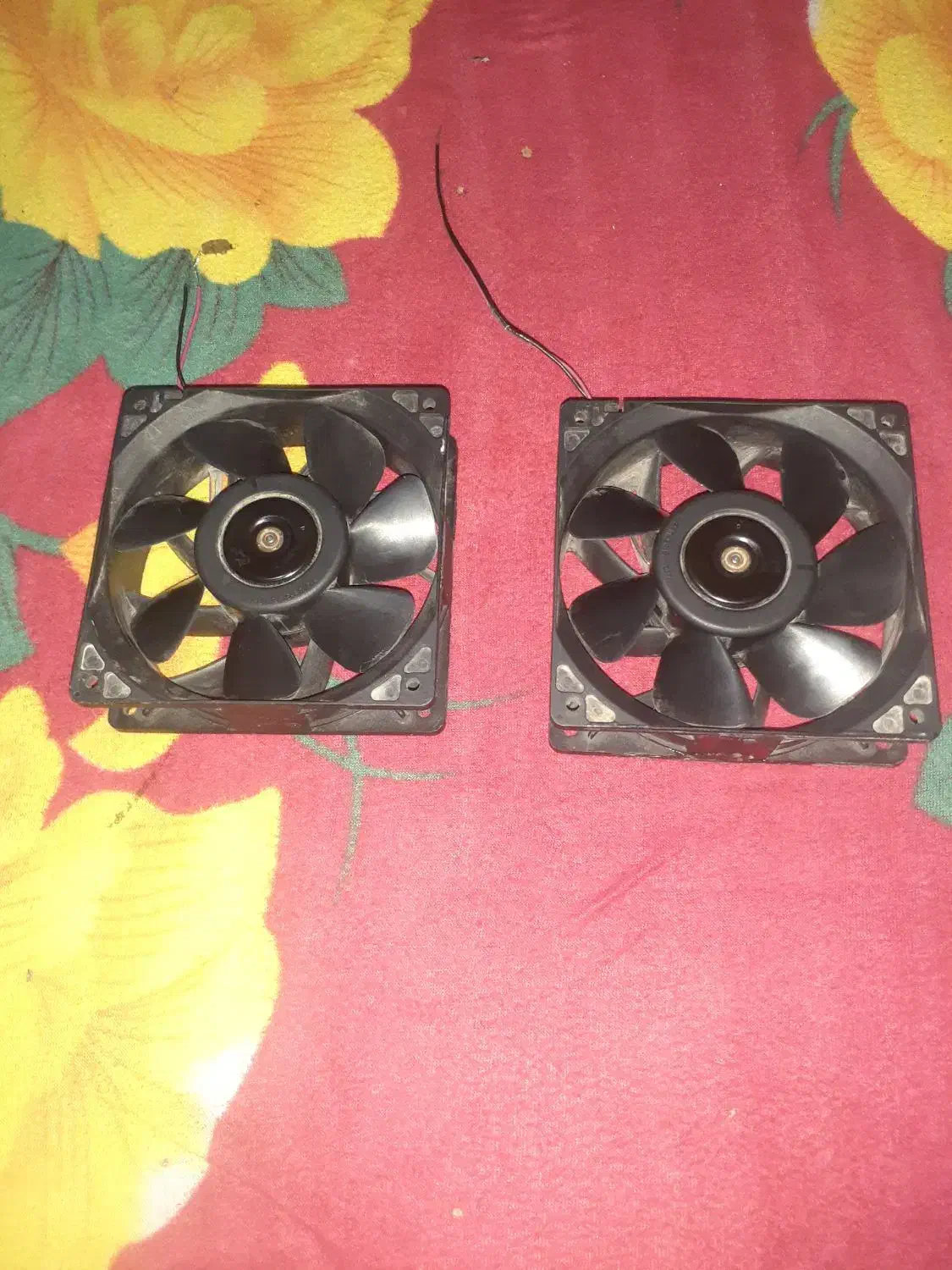 فن دوازده ولت|پنکه و تصفیهکنندهٔ هوا|بندر گناوه, |دیوار