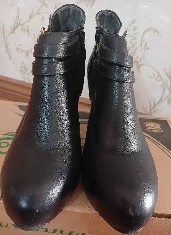 نیم بوت مجلسی|کیف، کفش، کمربند|گلبهار, شهر جدید گلبهار|دیوار