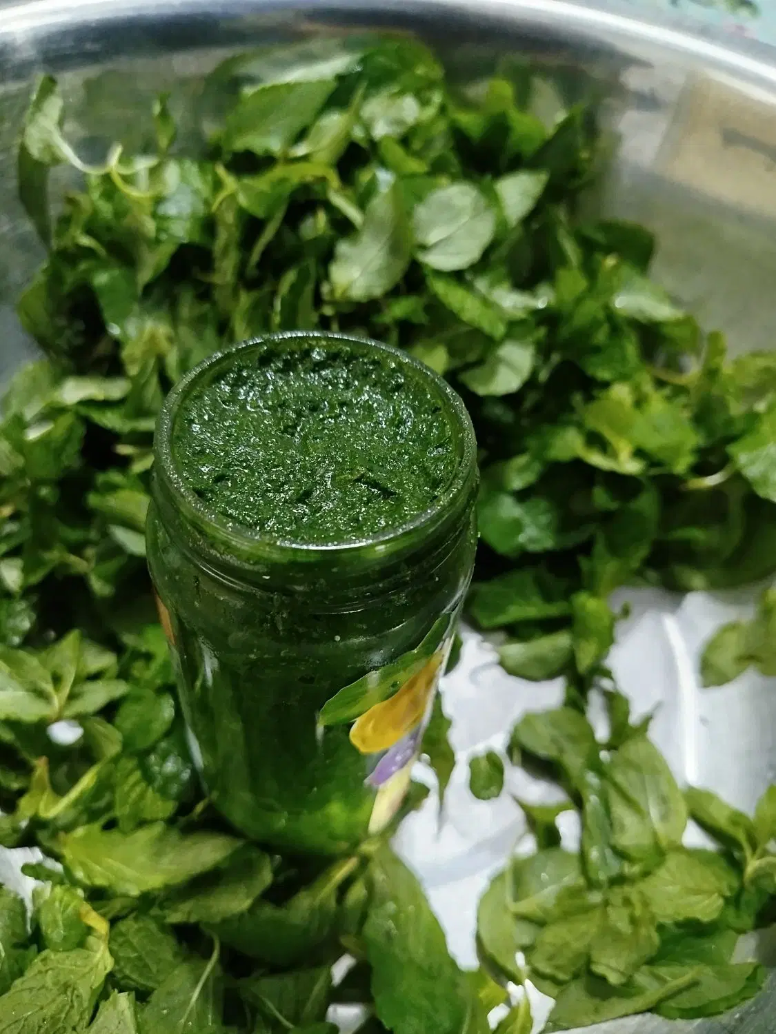 دلار سبز|خوردنی و آشامیدنی|رشت, پسیخان|دیوار