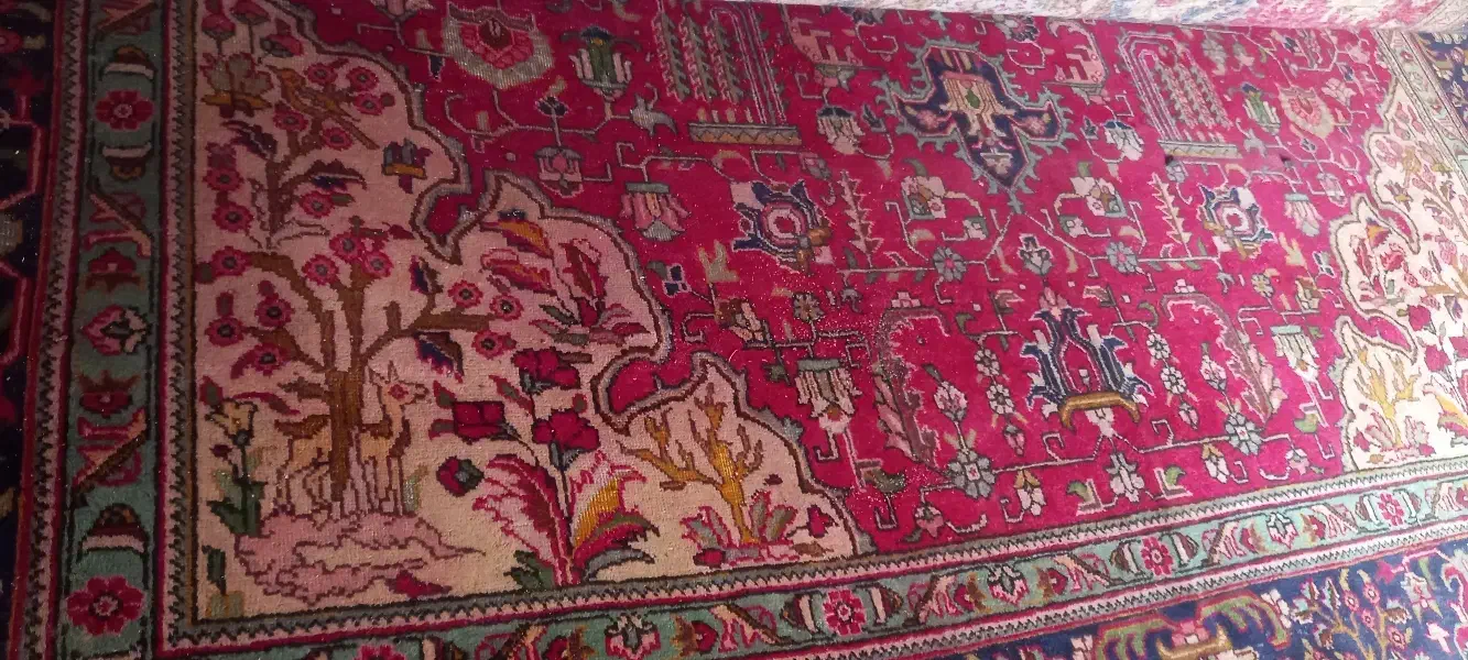 فرش|فرش|اسفراین, |دیوار