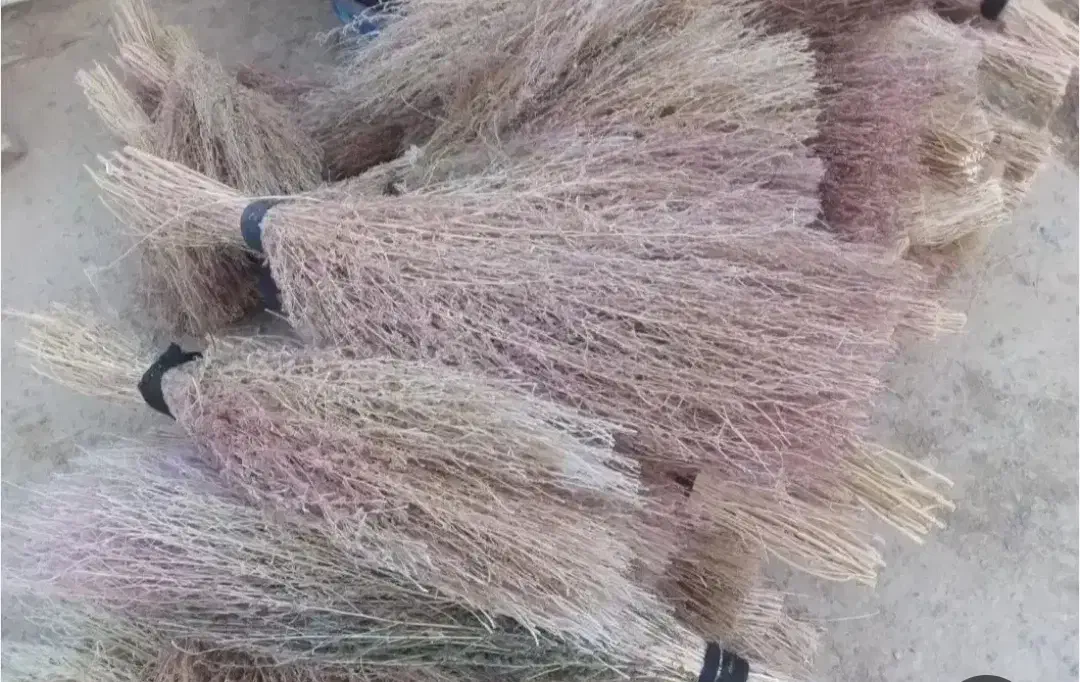 جارو محلی(گزی)|لوازم نظافت|دهگلان, |دیوار