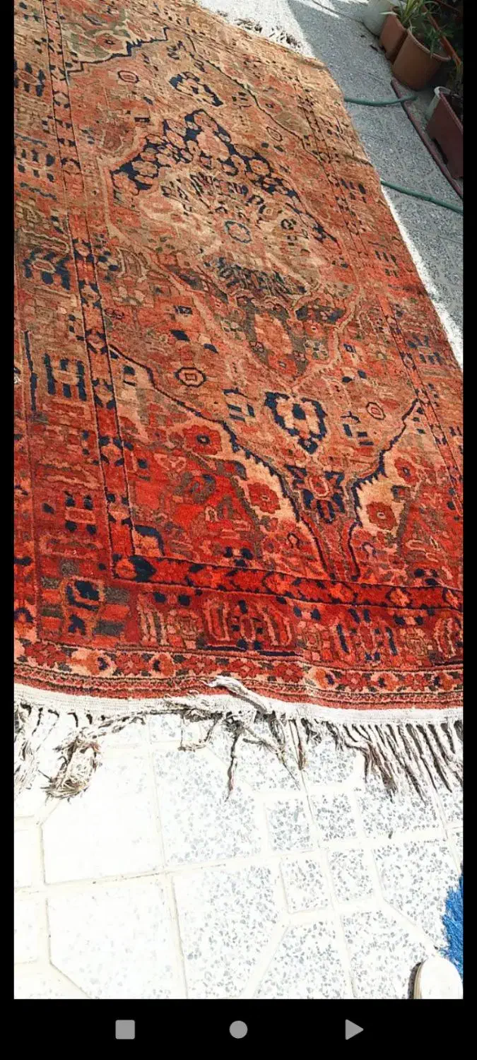 دوعدد قالی قدیمی نو ودست دوم وچوم اتیغه|فرش|اصفهان, فرودگاه شهید بهشتی|دیوار