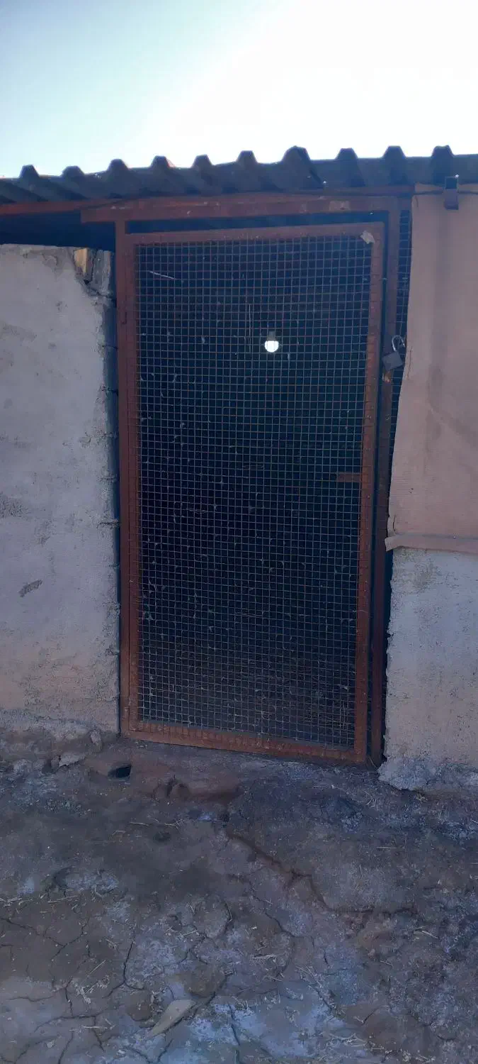 سایبان ایرانیت|مصالح و تجهیزات ساختمان|اهواز, شهدای انتظامی|دیوار