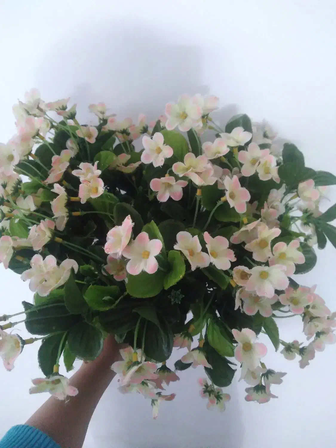 گل شکوفه|گل مصنوعی|بروجرد, |دیوار