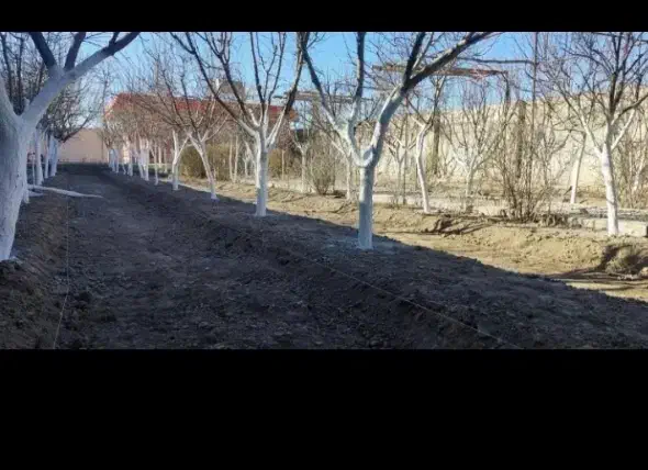 باغبانی سمپاشی هرس تیلر درختکاری گل کود بیل زدن|خدمات باغبانی و درختکاری|مشهد, توس (بلوار توس)|دیوار