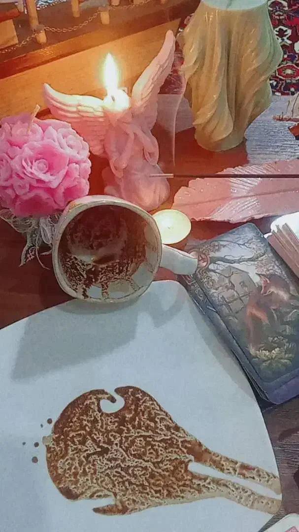 فال قهوه تاروت/قویترین تضمینی، فوق حرفه ای|خدمات پذیرایی، مراسم|کرمان, |دیوار