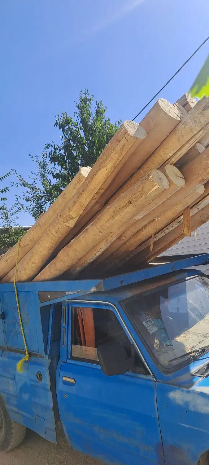 خرید چوب خشک سقفی وانواع چوب درباغات|خدمات پیشه و مهارت|ارومیه, |دیوار