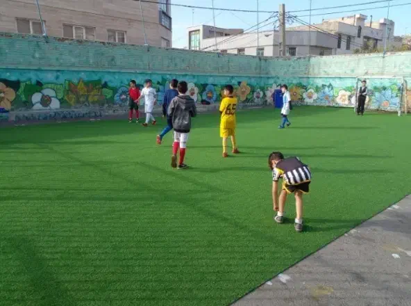 چمن مدارس با شرایط ویژه و نصب تخصصی|مصالح و تجهیزات ساختمان|بوشهر, |دیوار