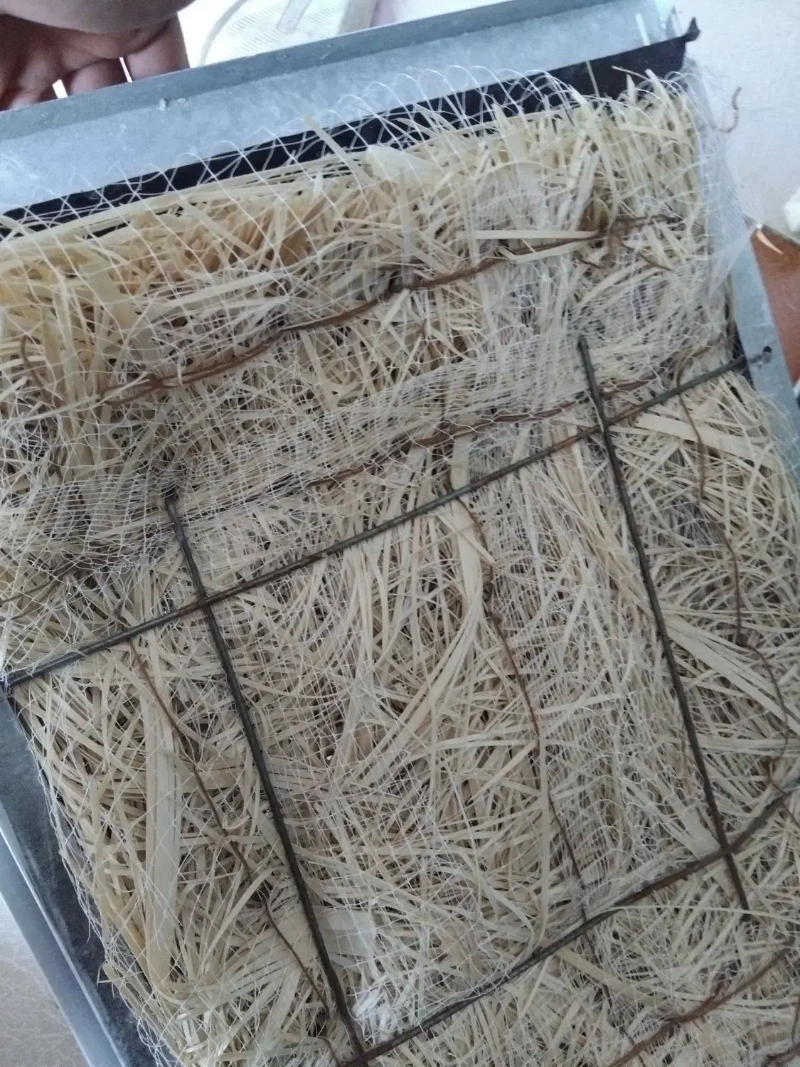 قیمت 6000000|کولر آبی|جیرفت, |دیوار