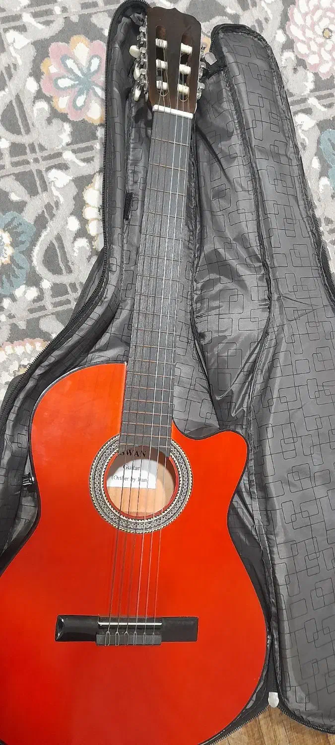 گیتار|گیتار، بیس، امپلیفایر|رشت, سلیمانداراب|دیوار