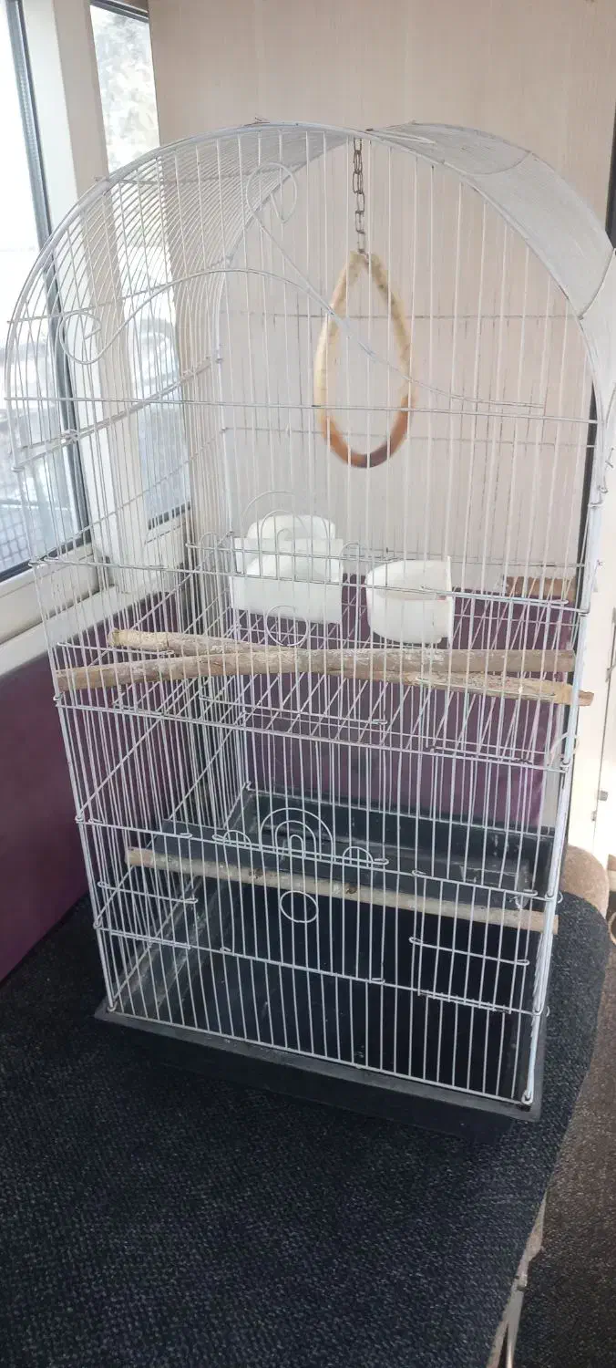 قفس|لوازم جانبی حیوانات|تهران, بهمن یار|دیوار